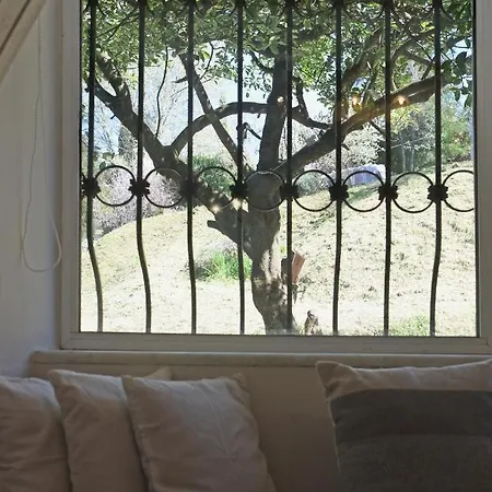 Calma House Case de vacanță