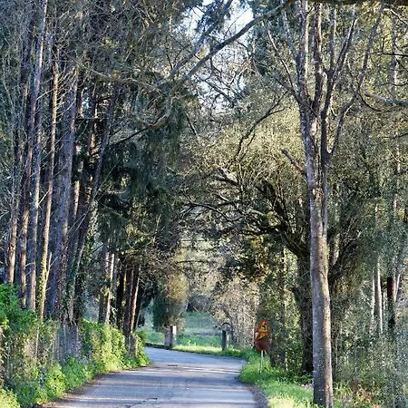 Case de vacanță Calma House Kompítsion