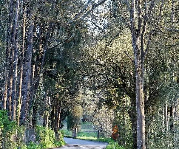 Prázdninový dům Calma House Kompítsion